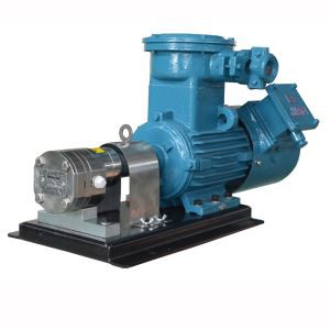 Magnetska pogonska zupčanik pumpa