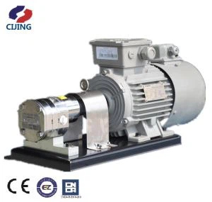 Koje su značajke membranske mjerne pumpe?